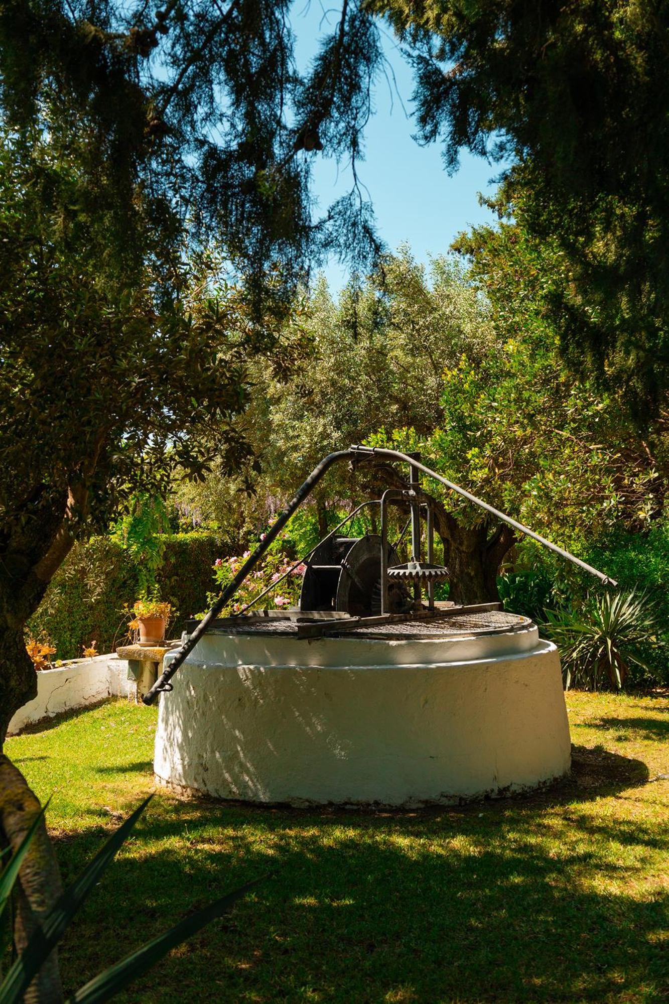 Casa Da Avo Genoveva Guest House Tomar Exterior photo